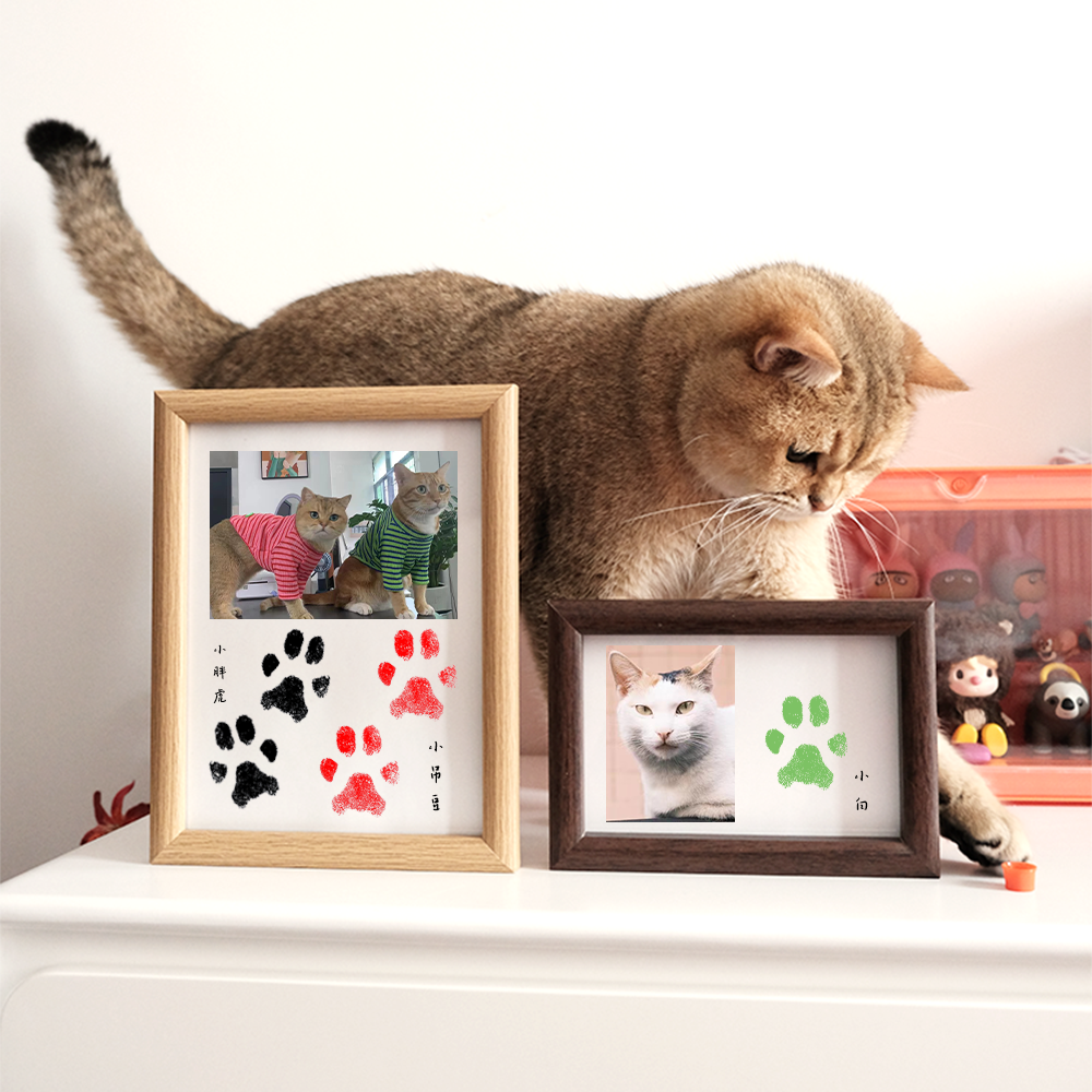 Pet Custom Anniversary Photo Frame