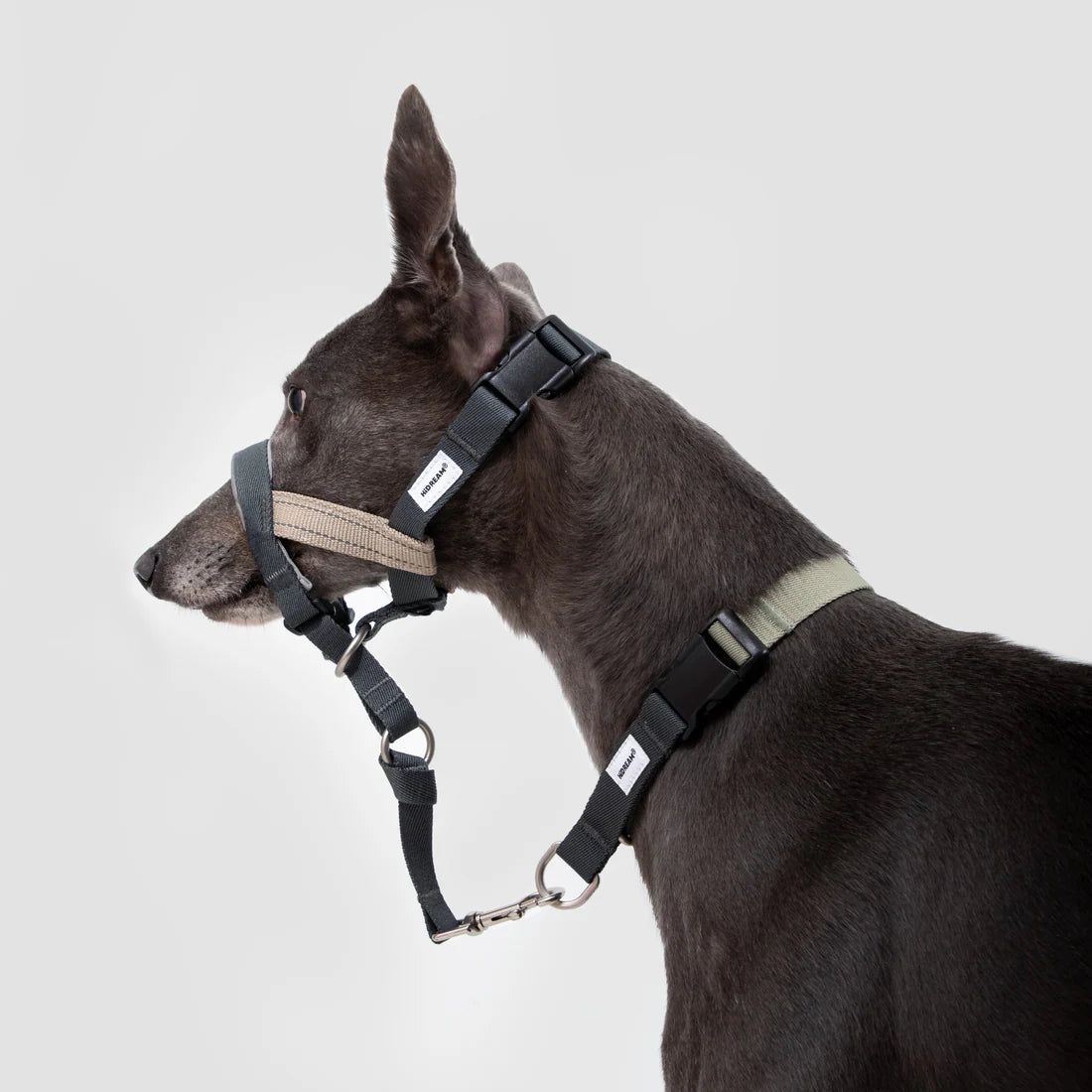 Valley Dog Head Collar Bundle black