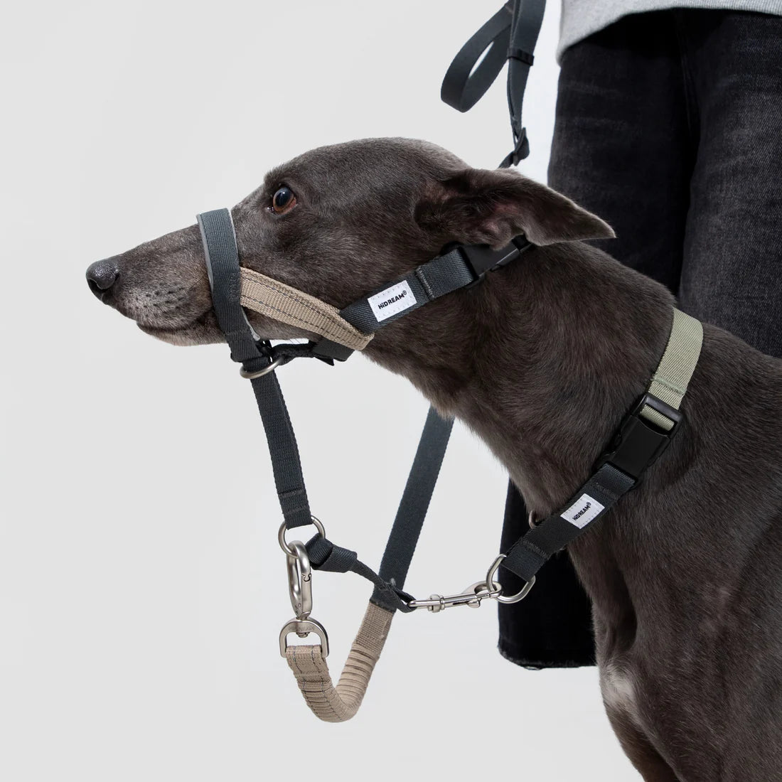 Valley Dog Head Collar Bundle black