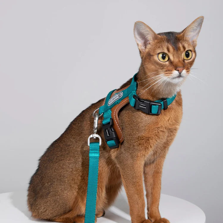 Leather Patchwork Cat Vest Set