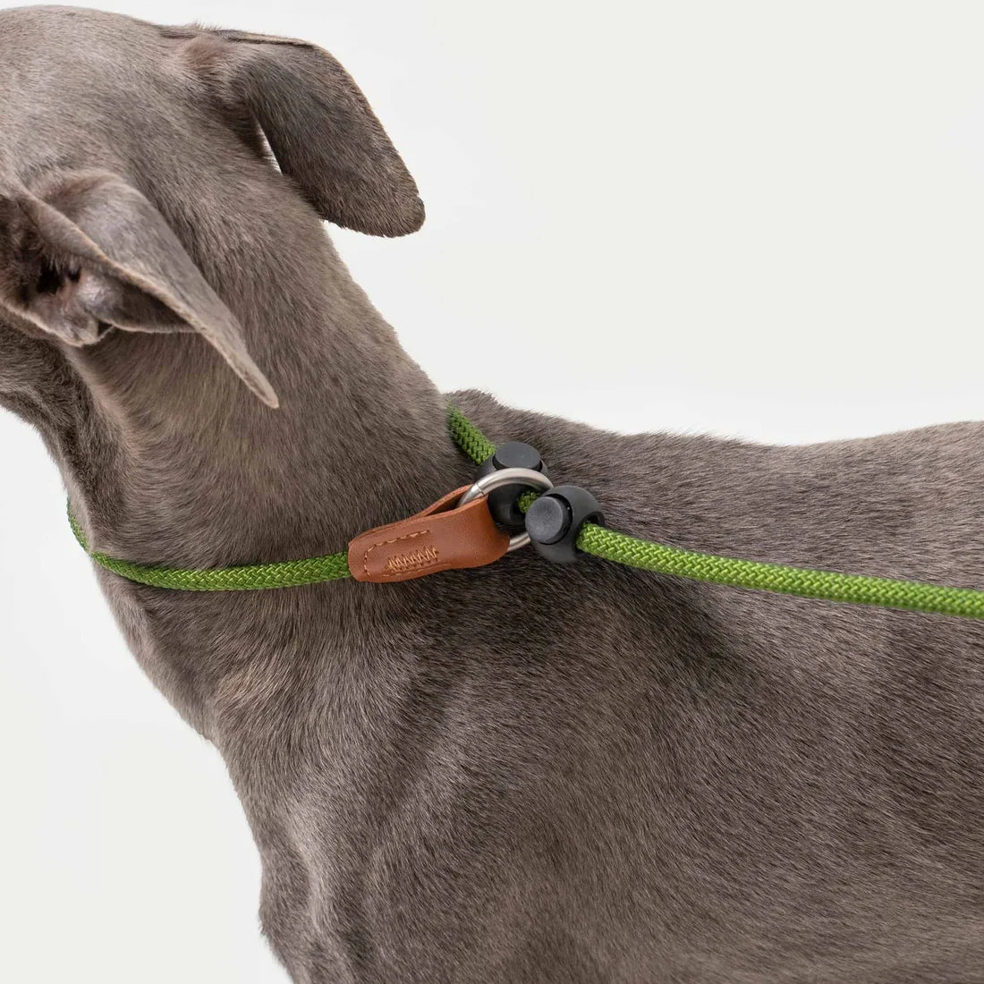 Handle Control Leash