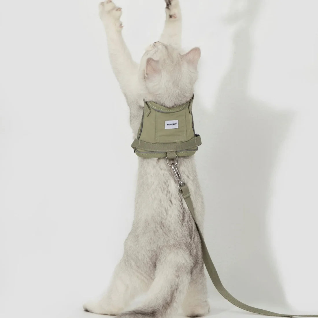 Cat Vest Harness Kit