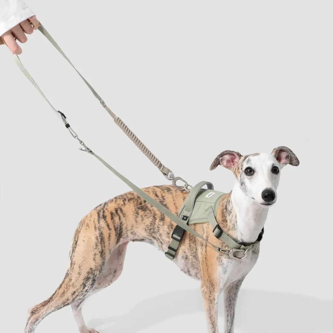 Dog Harness Vest Kit