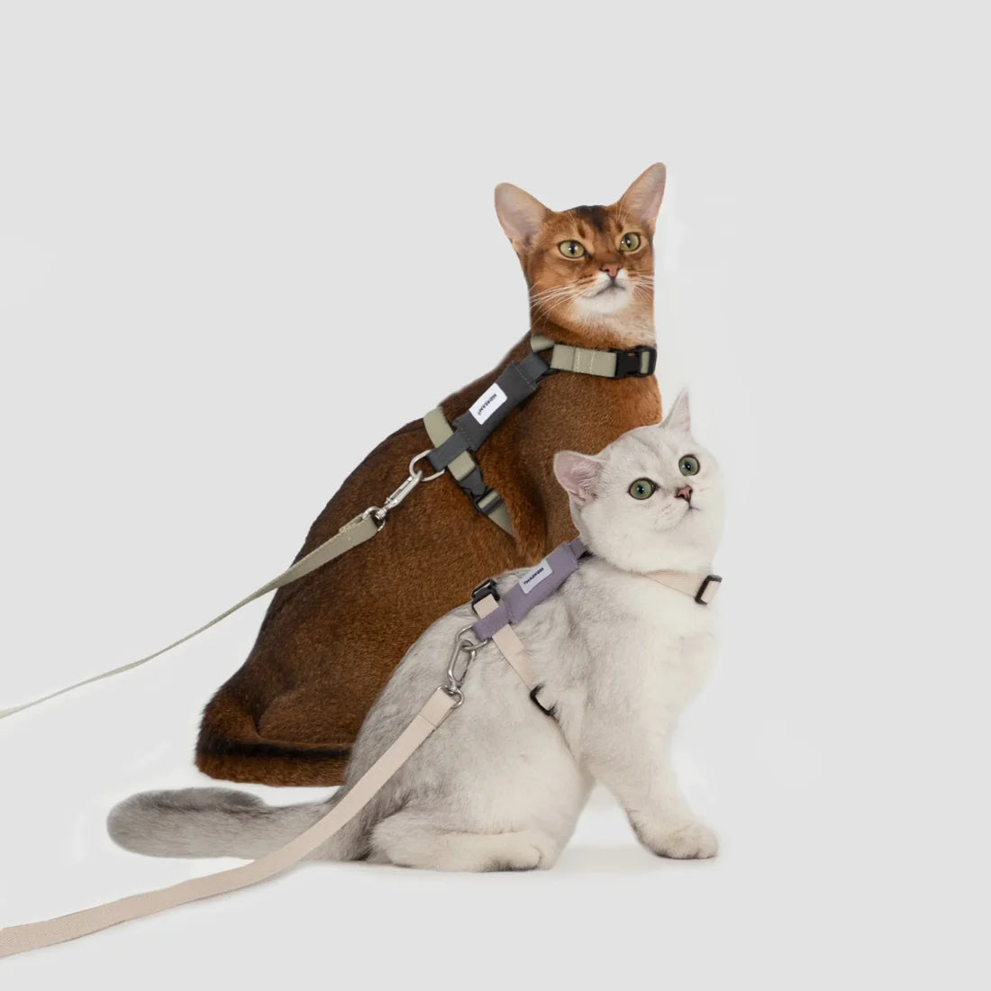 Light Cat Gear