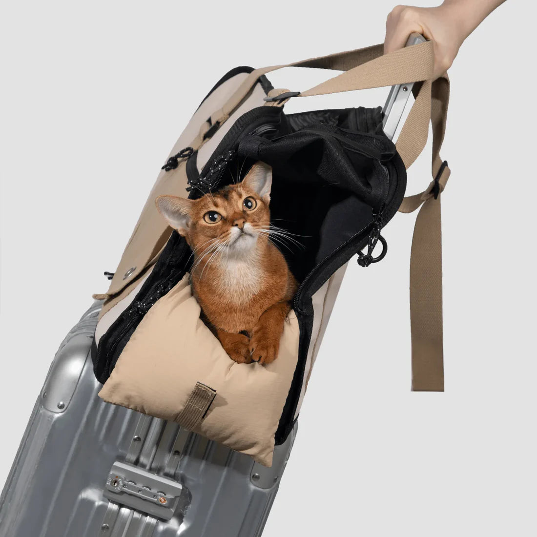 Semi-open Papoose pet Bag