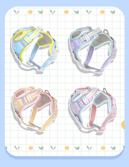 Summer macarons reflective pet leash