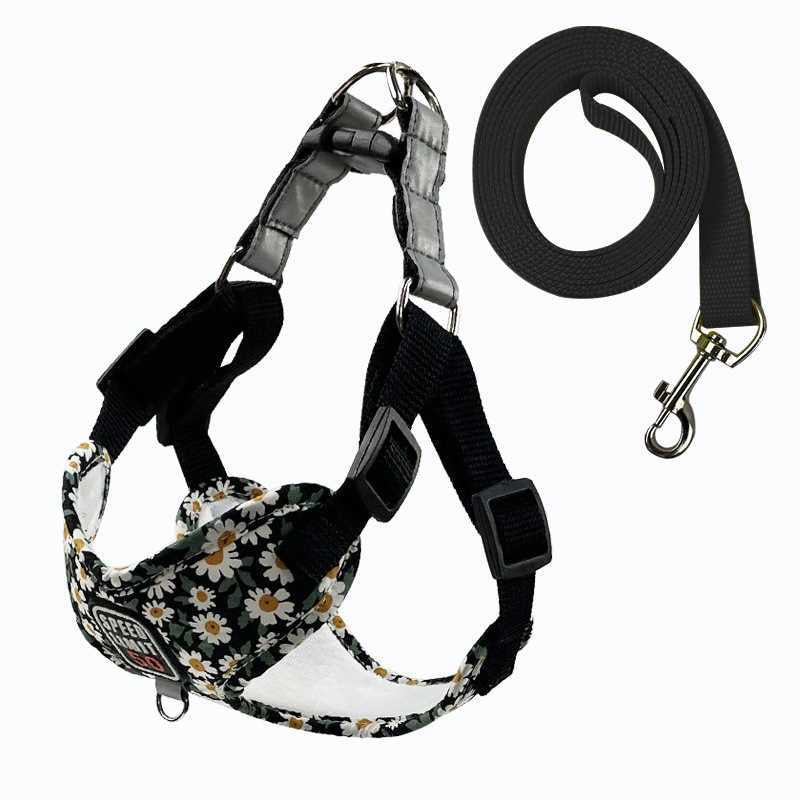 Daisy fashion pet leash