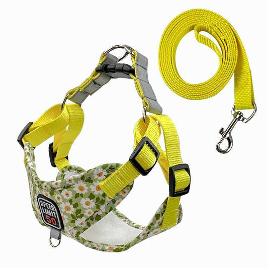 Daisy fashion pet leash