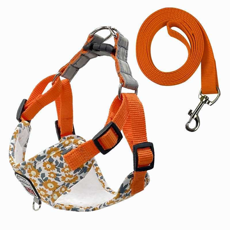 Daisy fashion pet leash