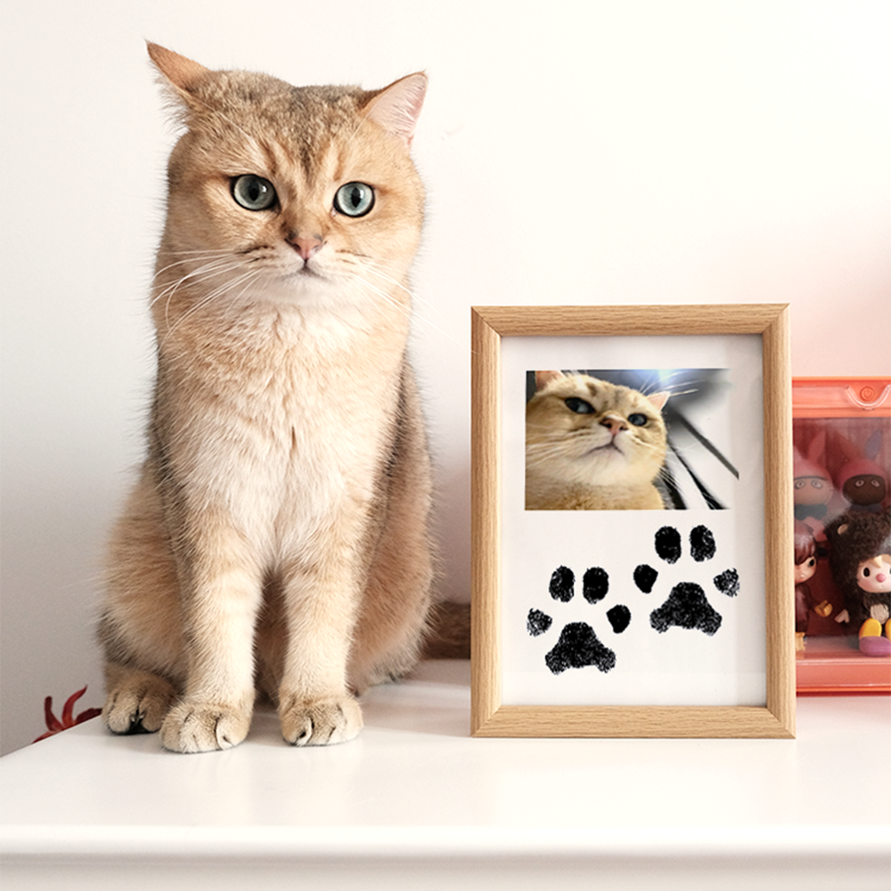 Pet Custom Anniversary Photo Frame