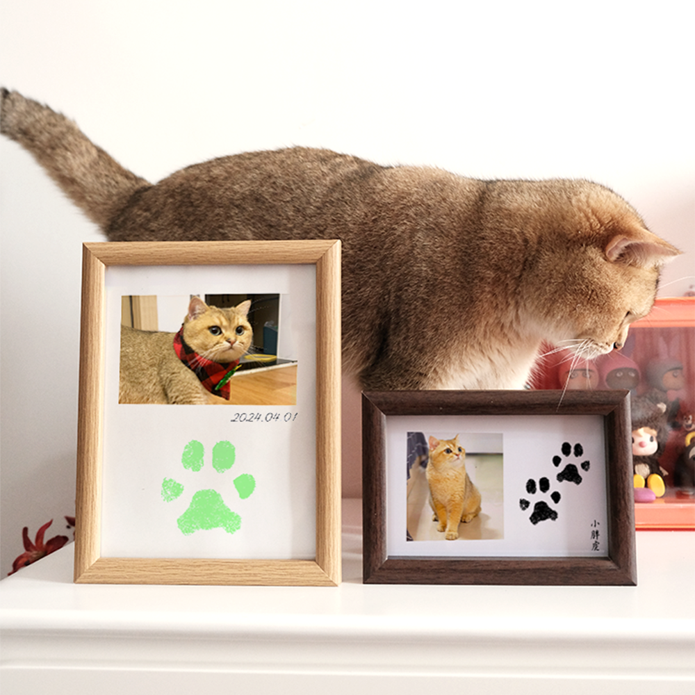 Pet Custom Anniversary Photo Frame