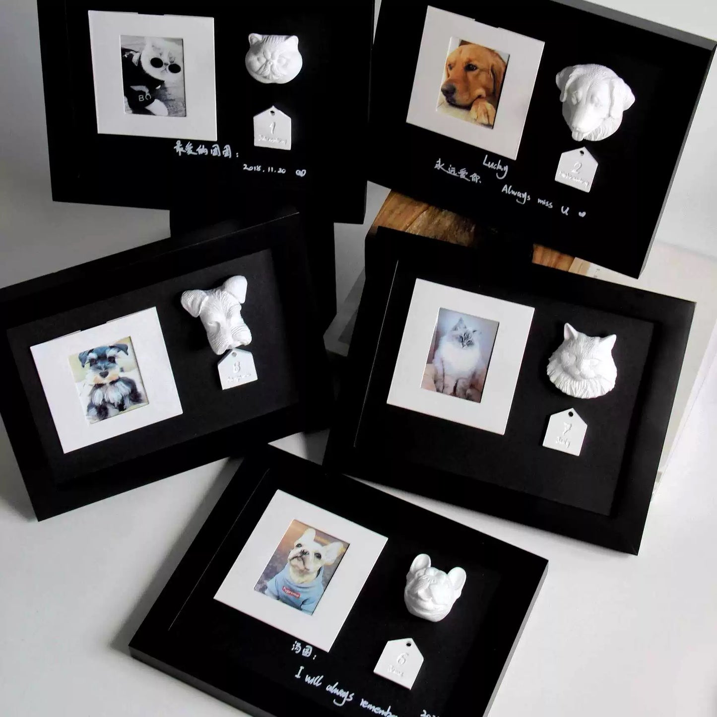 Pet memorial photo frame love pets customized gifts cats dogs photo diy birthday departed table souvenirs