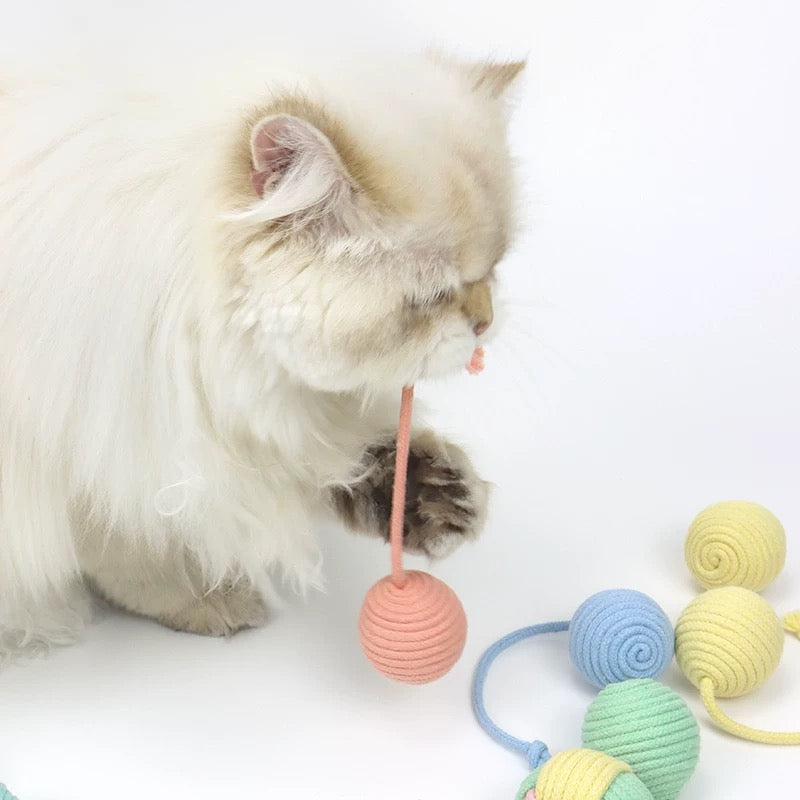 cat toys chewy ball