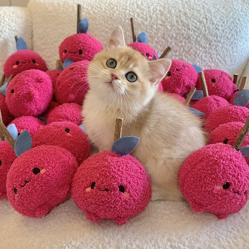 Cat Self-Help Toys Bite-Resistant Balls Cat Toys