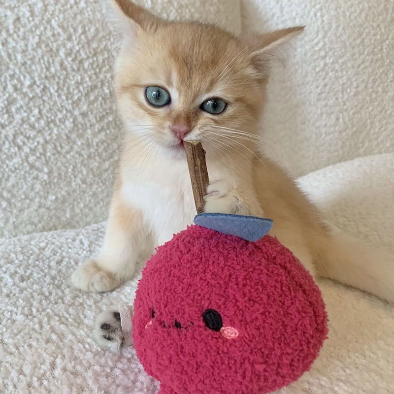 Cat Self-Help Toys Bite-Resistant Balls Cat Toys