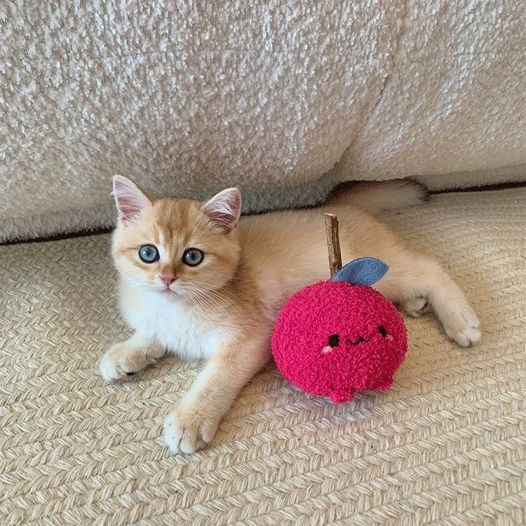 Cat Self-Help Toys Bite-Resistant Balls Cat Toys