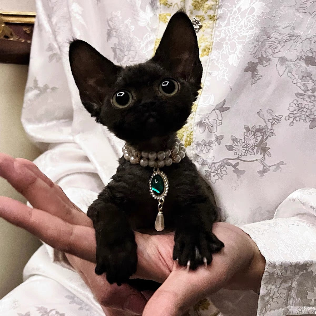 Pet Pearl Necklace