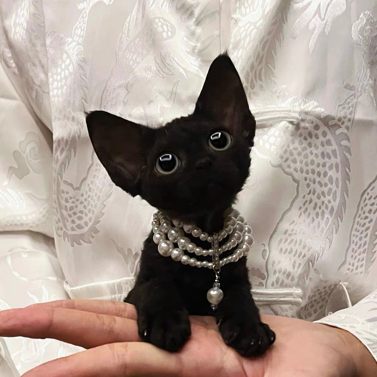 Elegant Pet Pearl Necklace