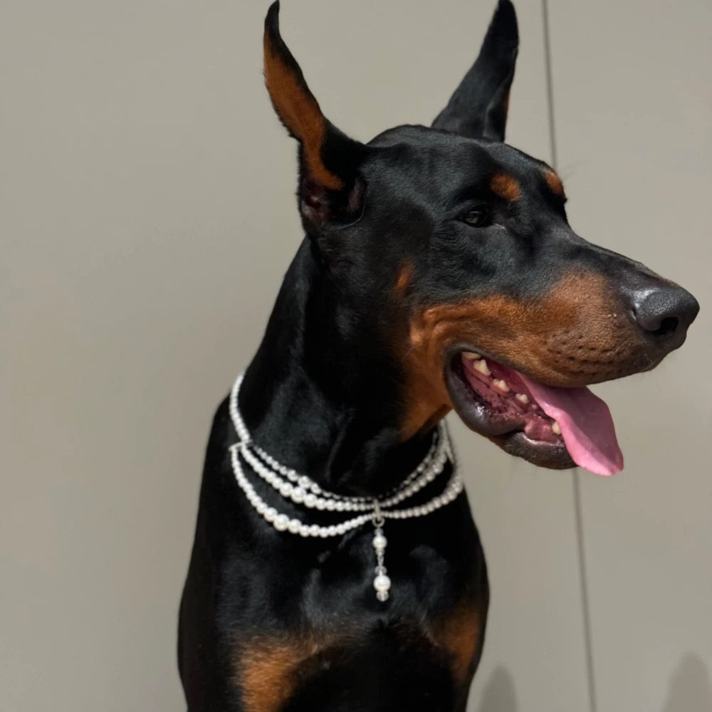 Elegant Pet Pearl Necklace
