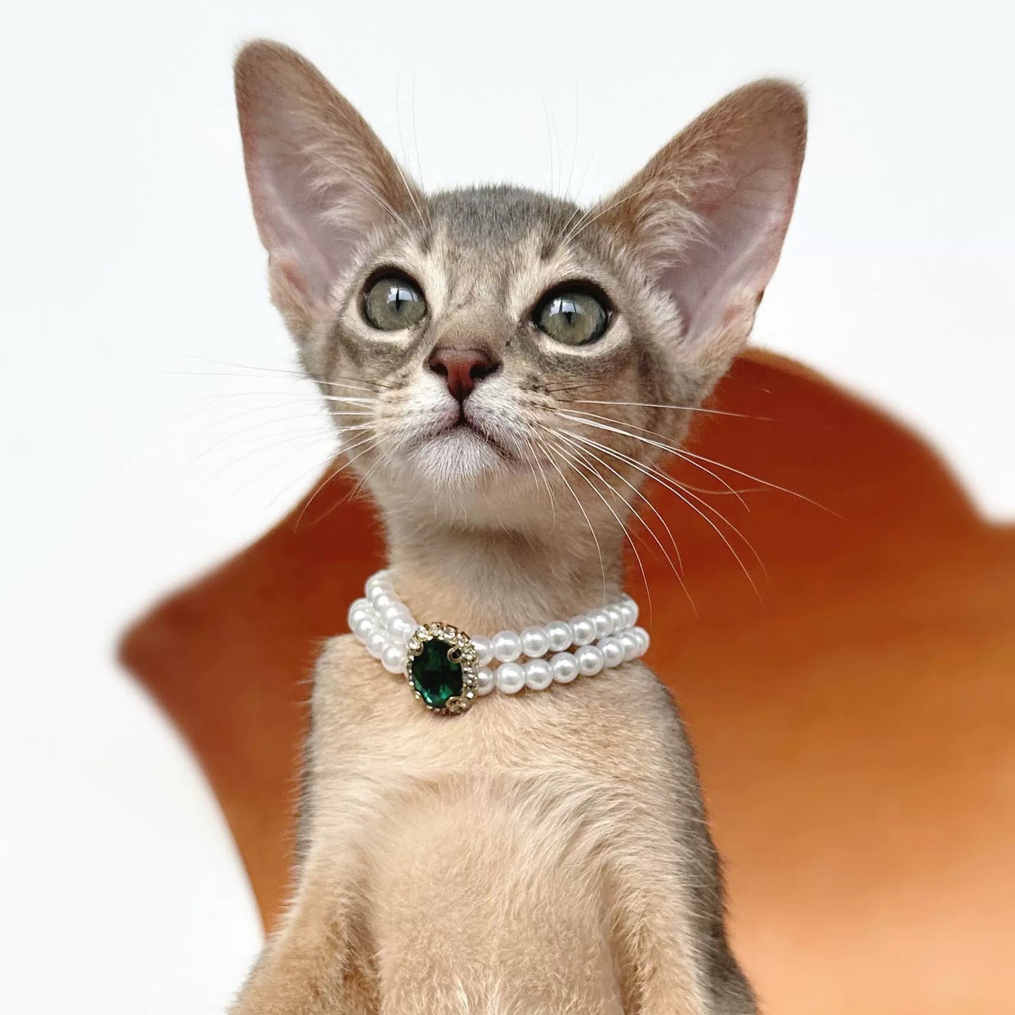 Vintage Pet Pearl Necklace Pet Jewelry