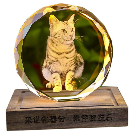 Custom Pet Memorial 3D Crystal Music Box