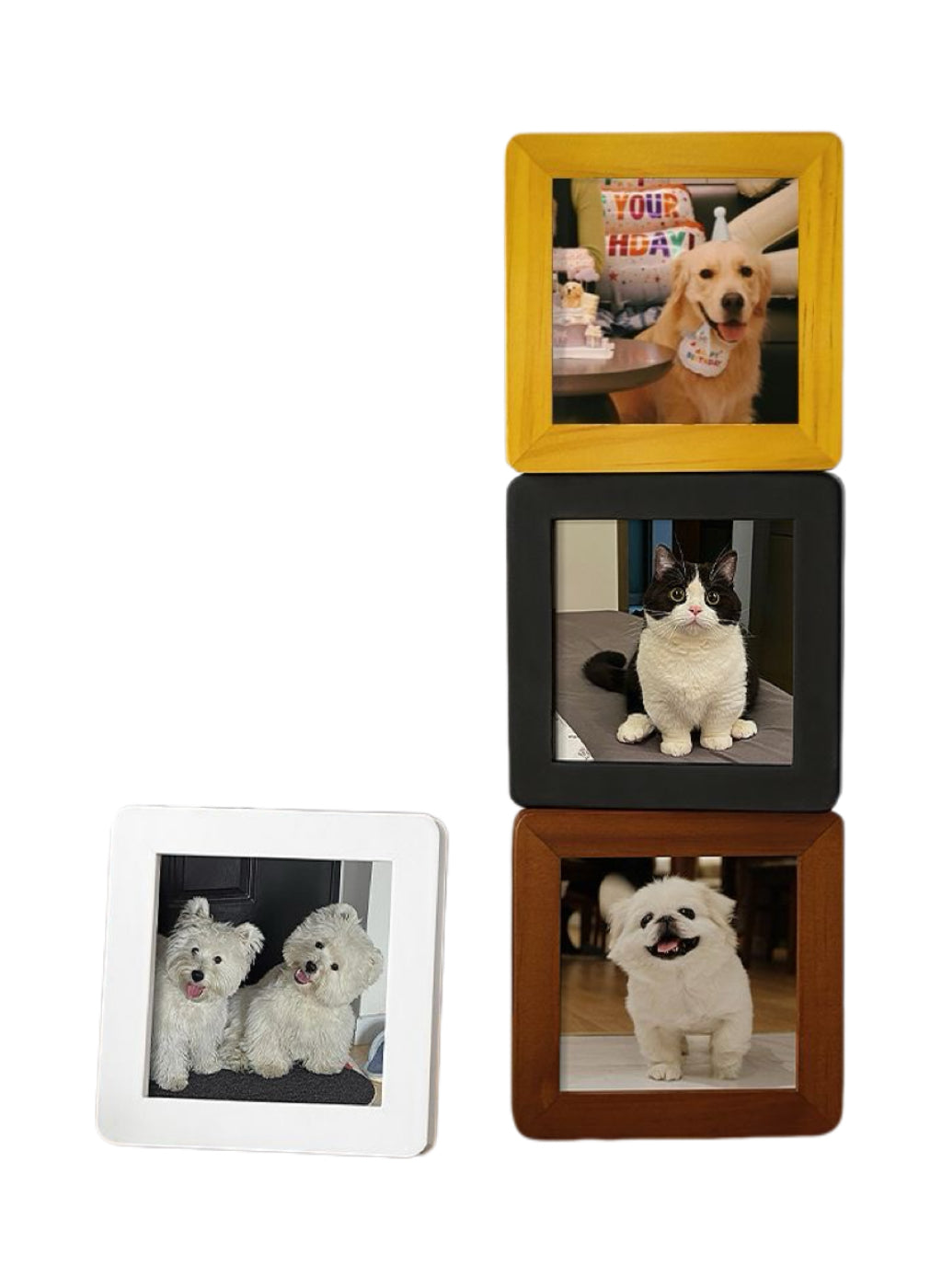 Mini Pet Photo Frame