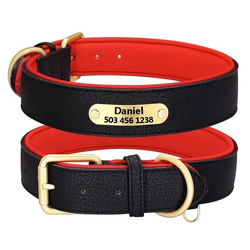 Custom Dog Collar with Engraved Name Tag