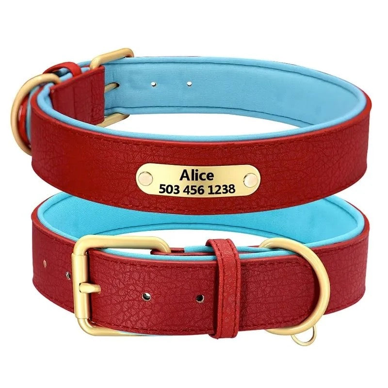 Custom Dog Collar with Engraved Name Tag