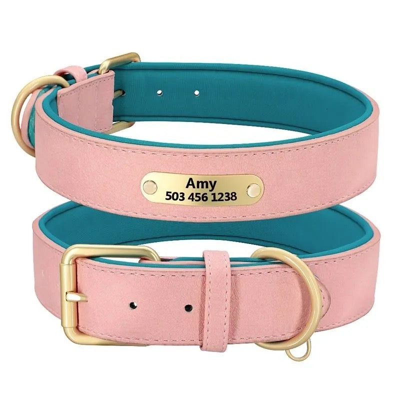 Custom Dog Collar with Engraved Name Tag