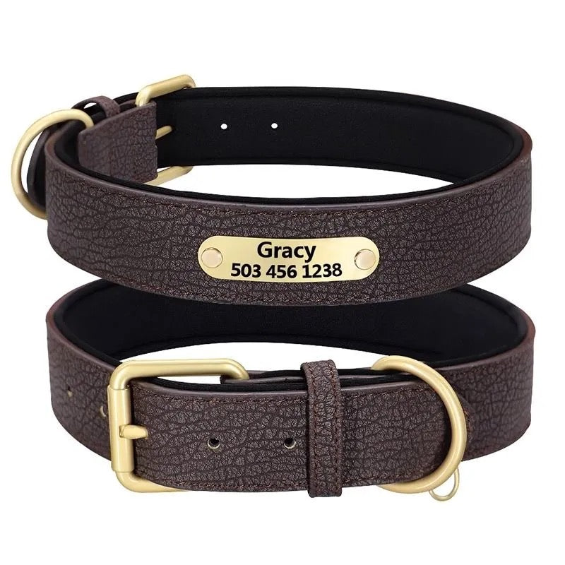 Custom Dog Collar with Engraved Name Tag