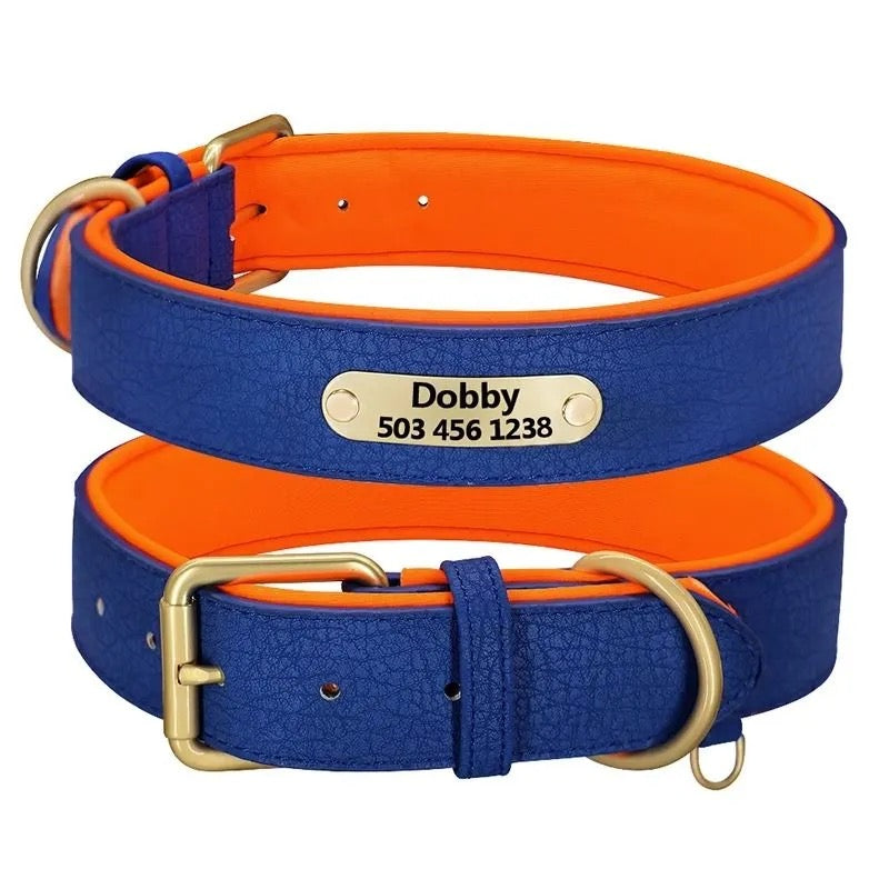 Custom Dog Collar with Engraved Name Tag