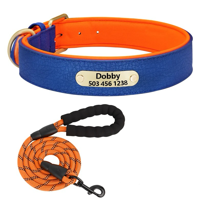Custom Dog Collar with Engraved Name Tag
