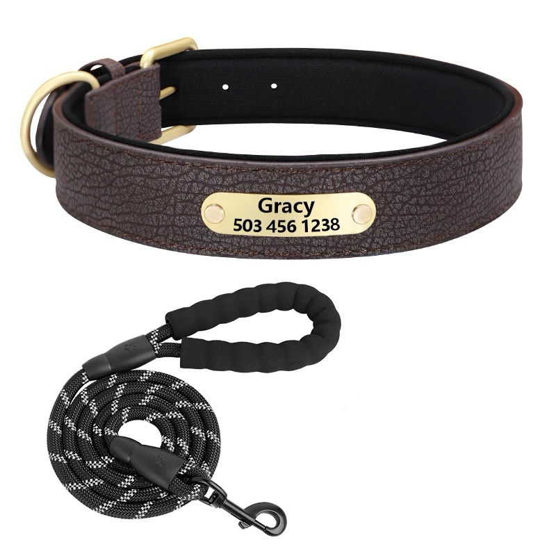Custom Dog Collar with Engraved Name Tag