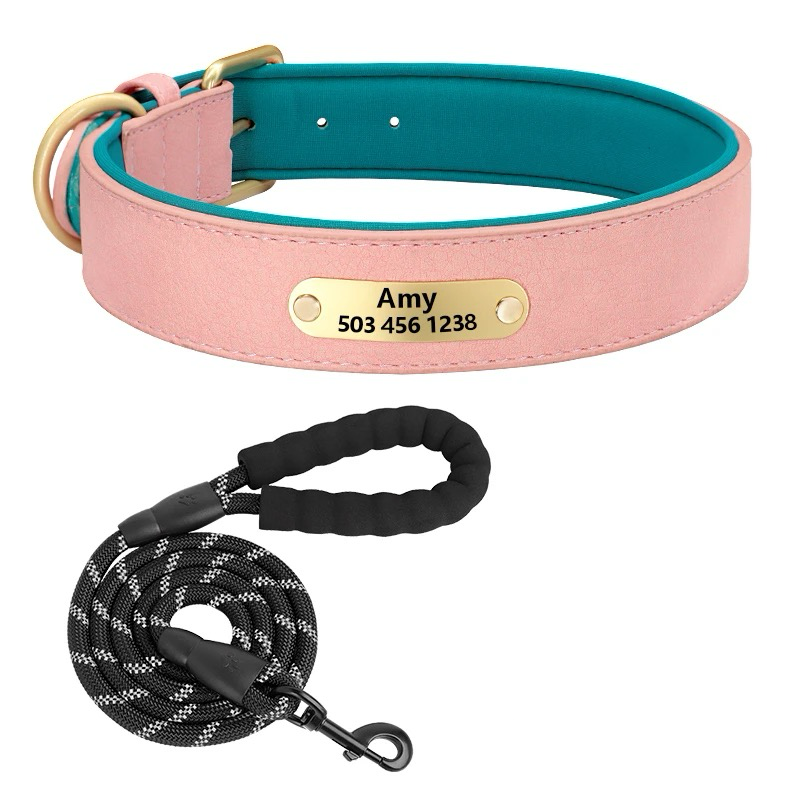 Custom Dog Collar with Engraved Name Tag