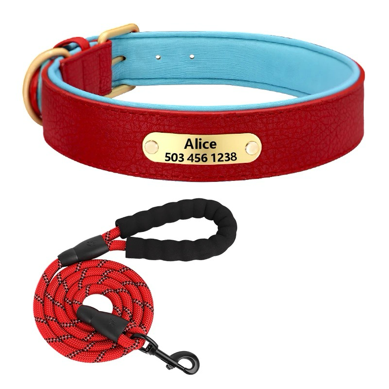 Custom Dog Collar with Engraved Name Tag