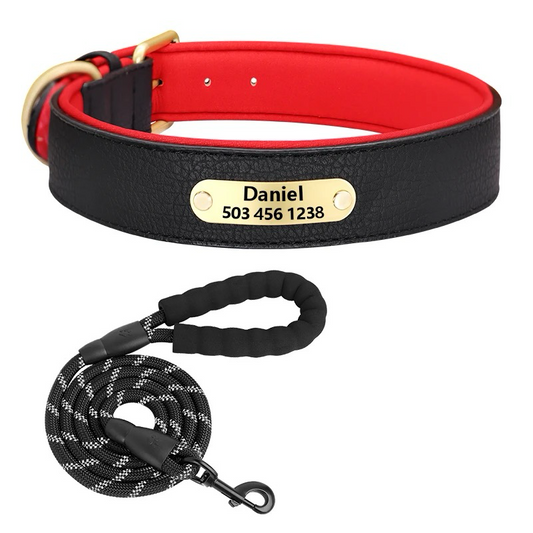 Custom Dog Collar with Engraved Name Tag