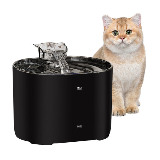 Smart Pet Water Dispenser