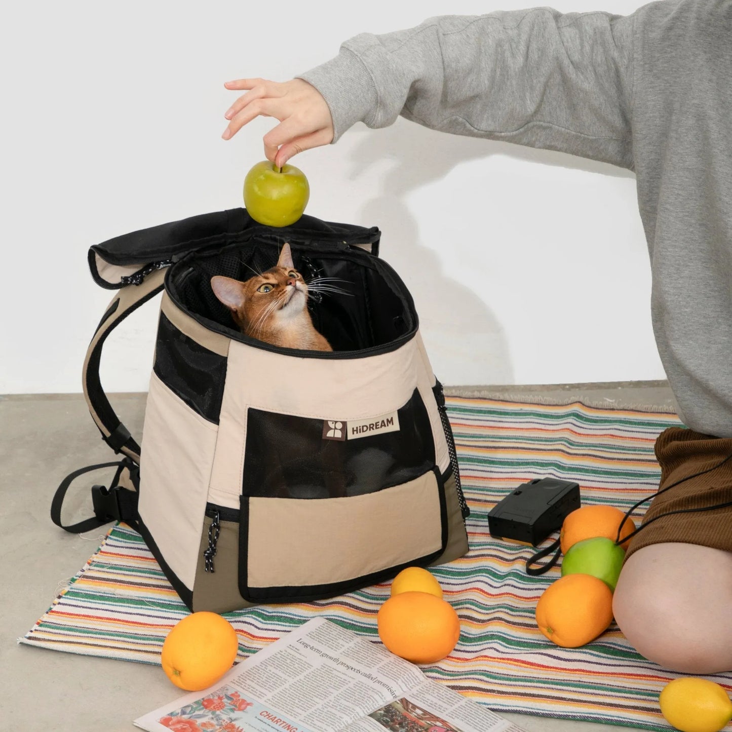 Foldable Basket Pet Carrier