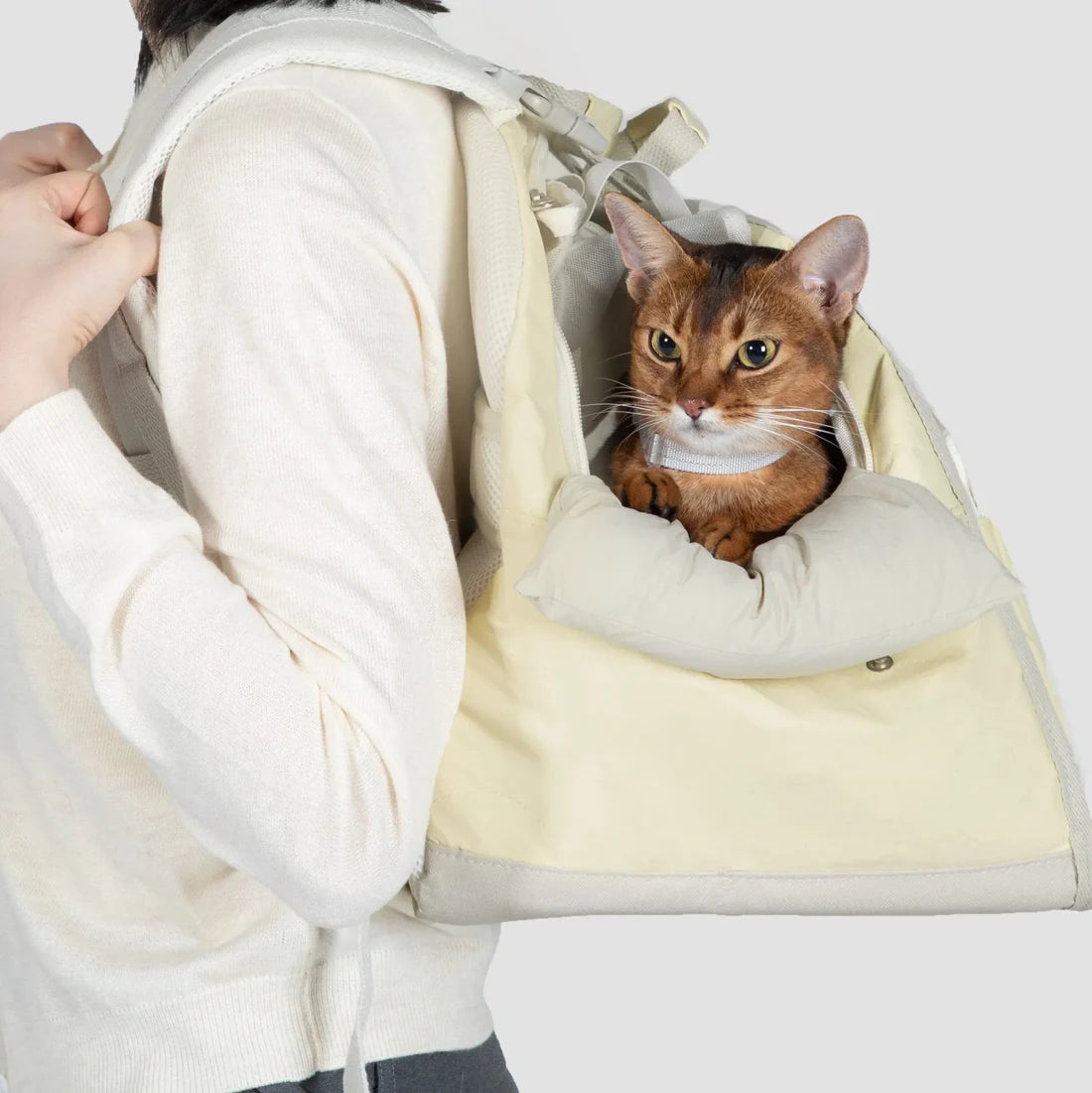 Puha Series Pet Carrier Backpack