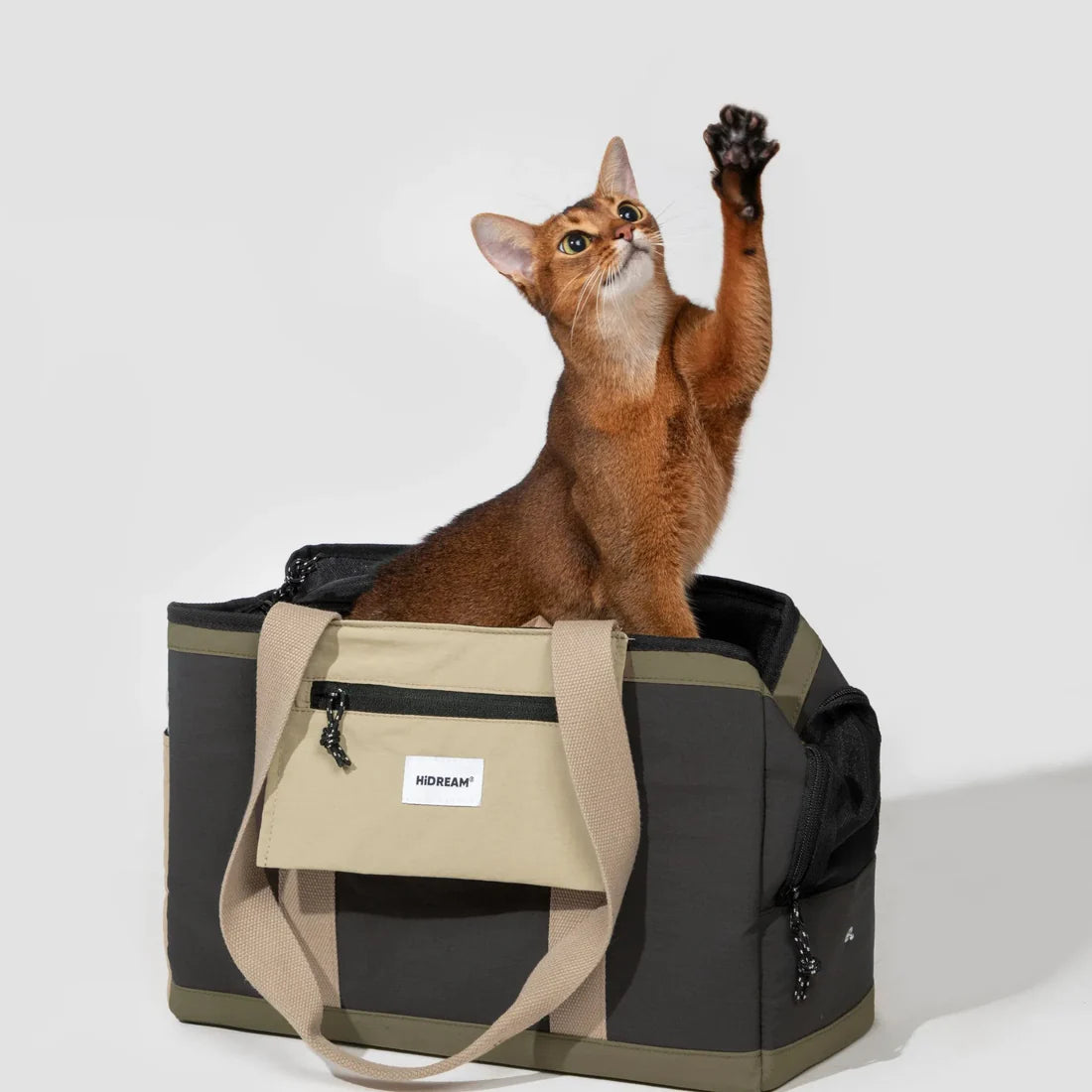 Fashion Squar Tote pet Bag